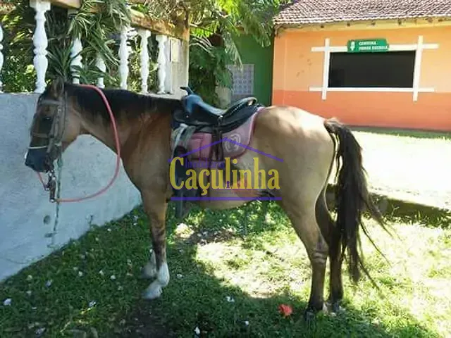 Hotel com 1m², à venda, no bairro Ipiabas em Barra do Piraí