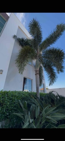 Lançamento disponível, no bairro Parque Jóquei Club em Campos dos Goytacazes