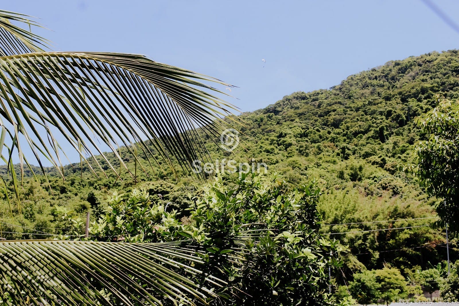 Apartamento, 1 quarto, 34 m² - Foto 28