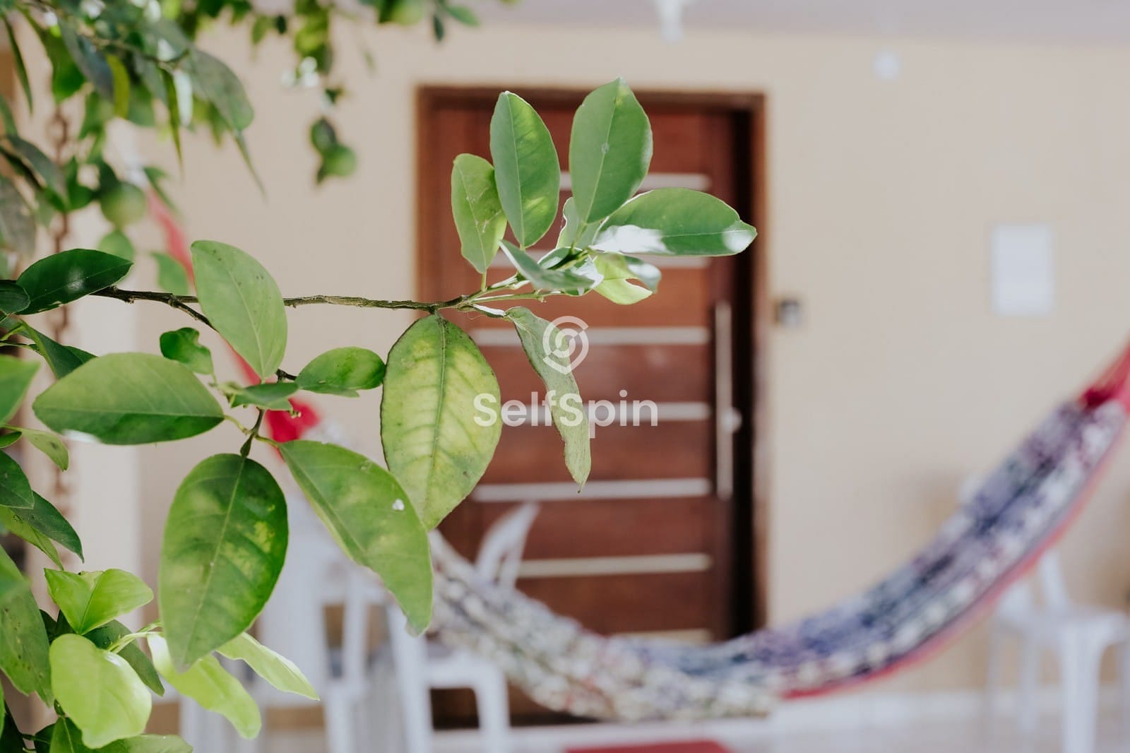 Apartamento, 1 quarto, 34 m² - Foto 3