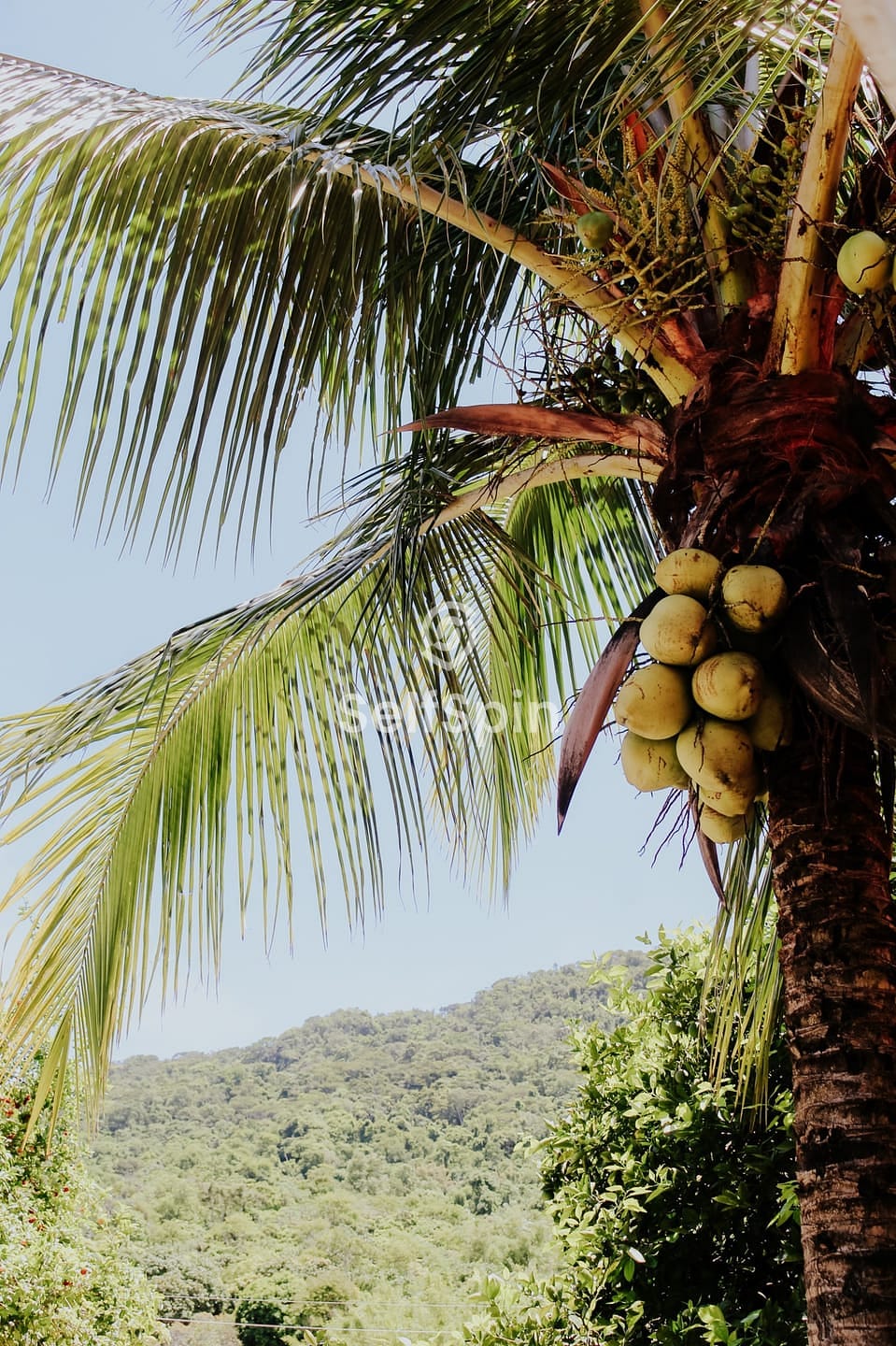 Apartamento, 1 quarto, 34 m² - Foto 23