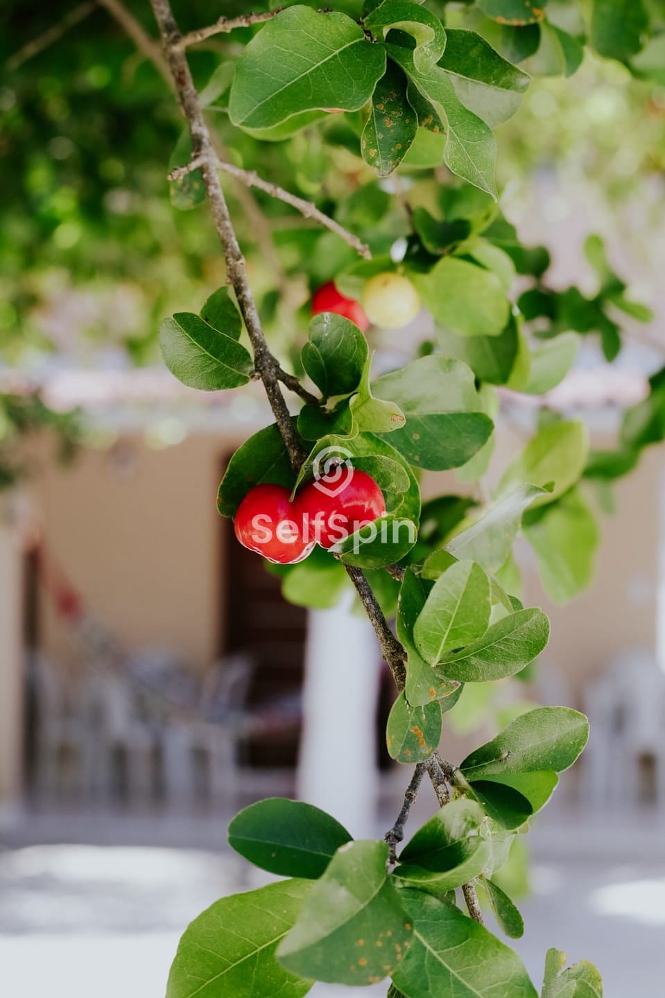 Apartamento, 1 quarto, 35 m² - Foto 21