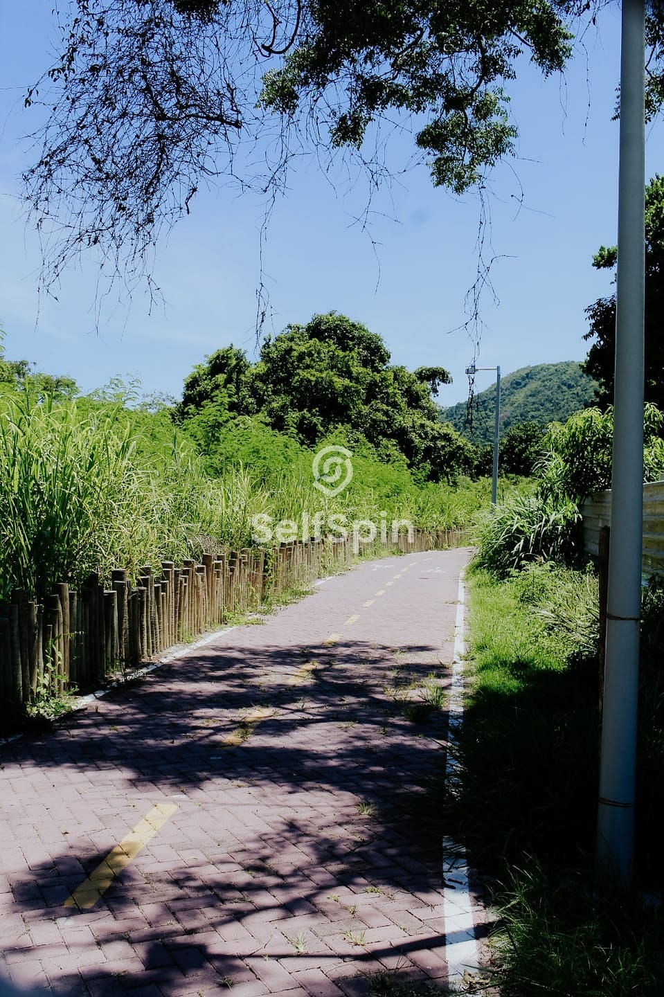 Apartamento, 1 quarto, 21 m² - Foto 30