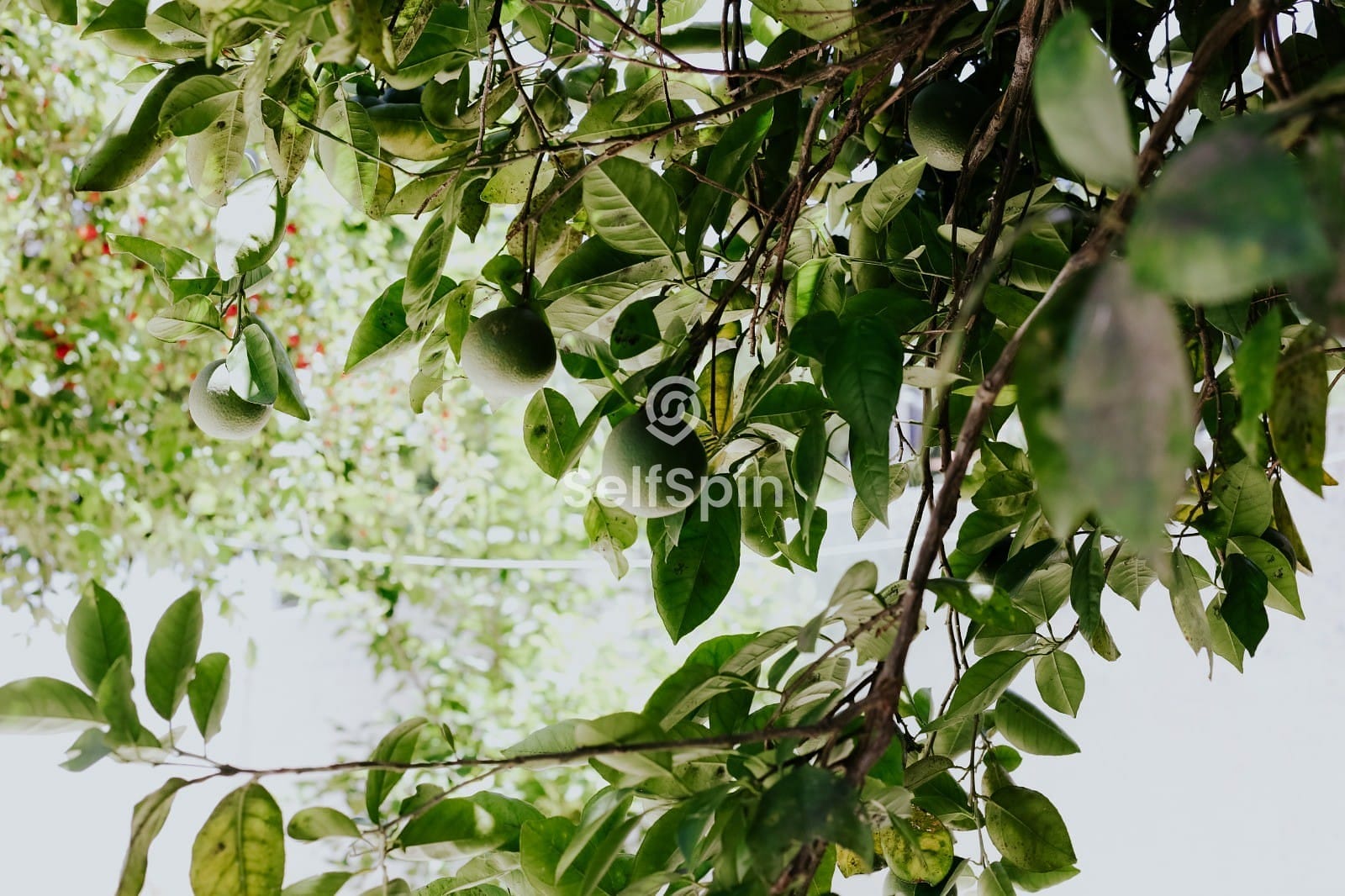 Apartamento, 1 quarto, 21 m² - Foto 27