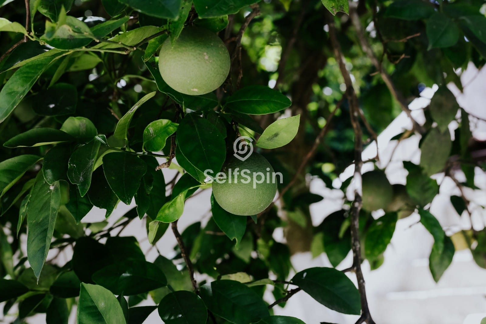 Apartamento, 1 quarto, 21 m² - Foto 28