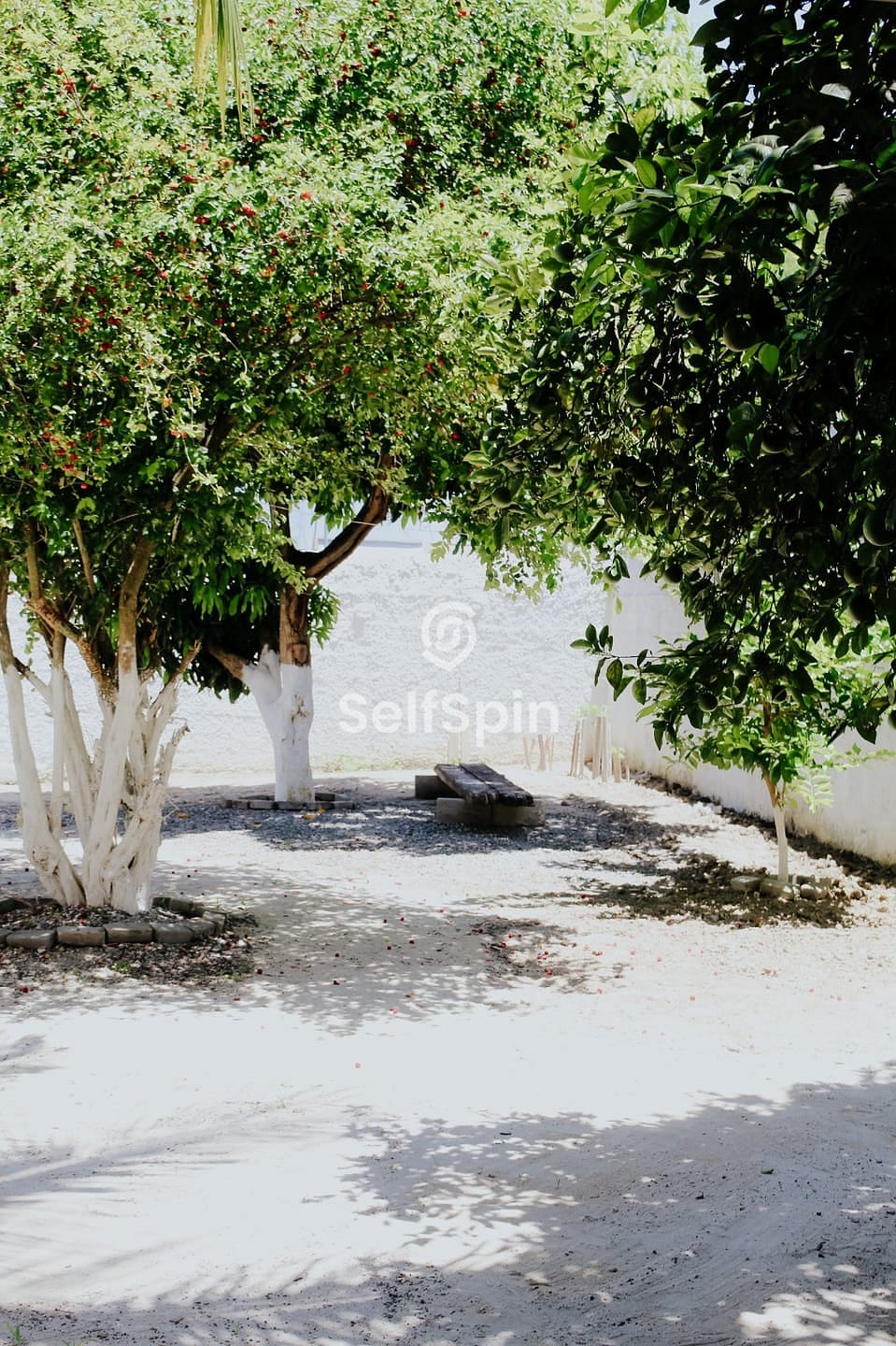 Apartamento, 1 quarto, 21 m² - Foto 22