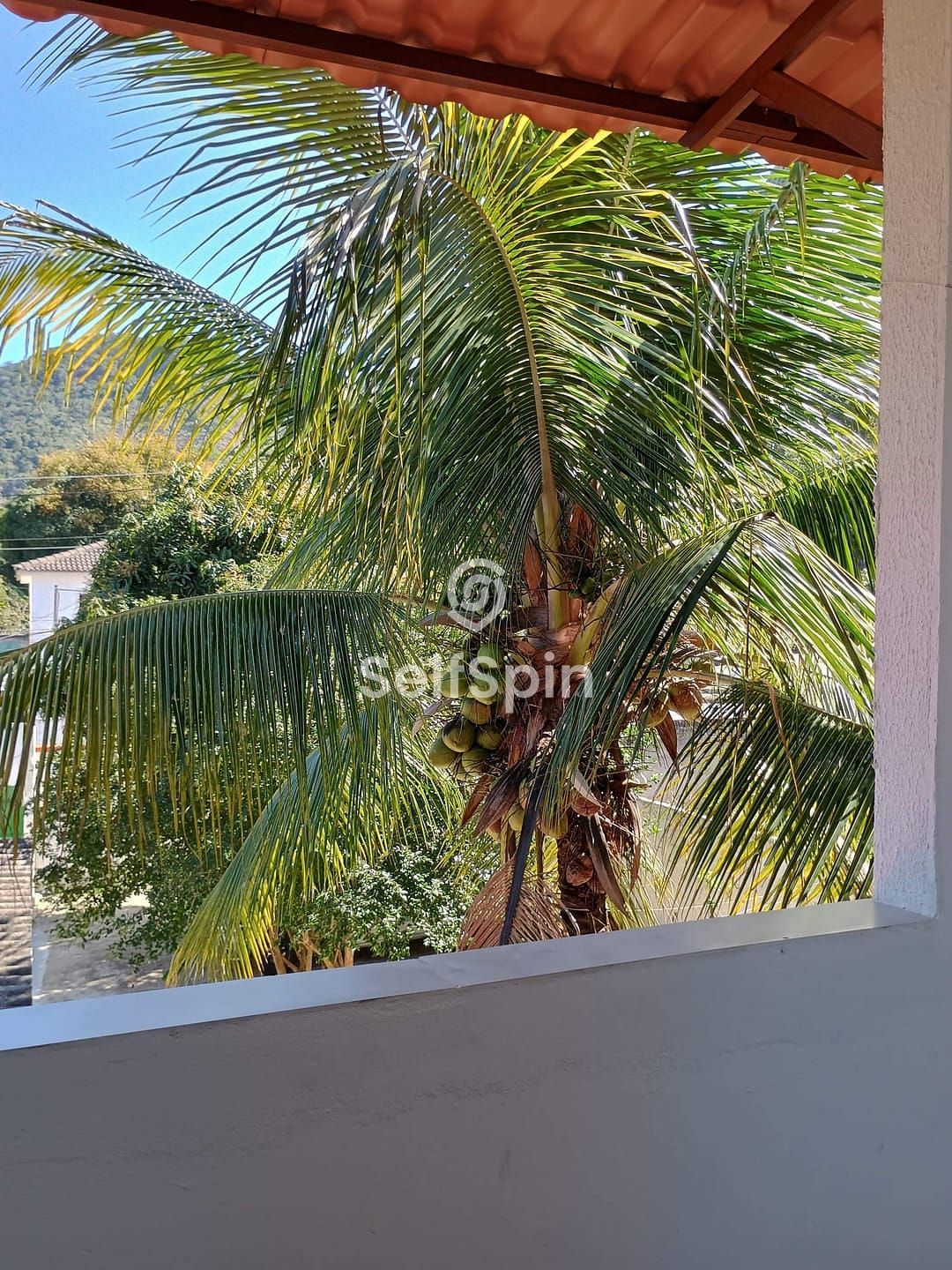 Apartamento, 1 quarto, 20 m² - Foto 17