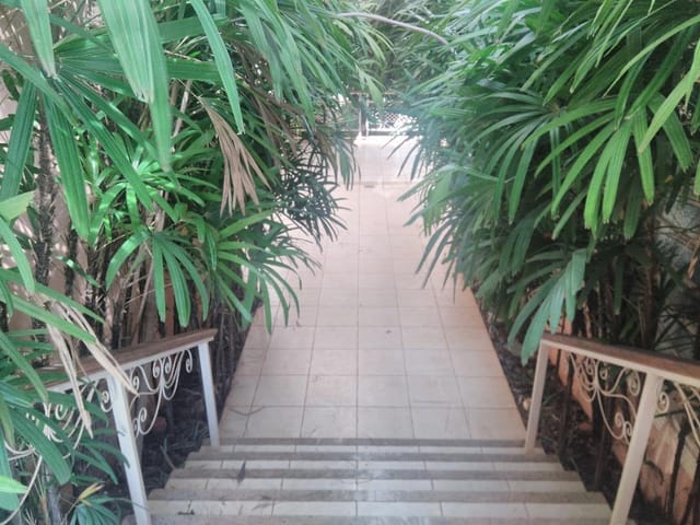 Foto do Loja - Loja à venda e locação 711M², Boa Vista, Uberaba - MG | ZUCATO IMOBILIARIA LTDA