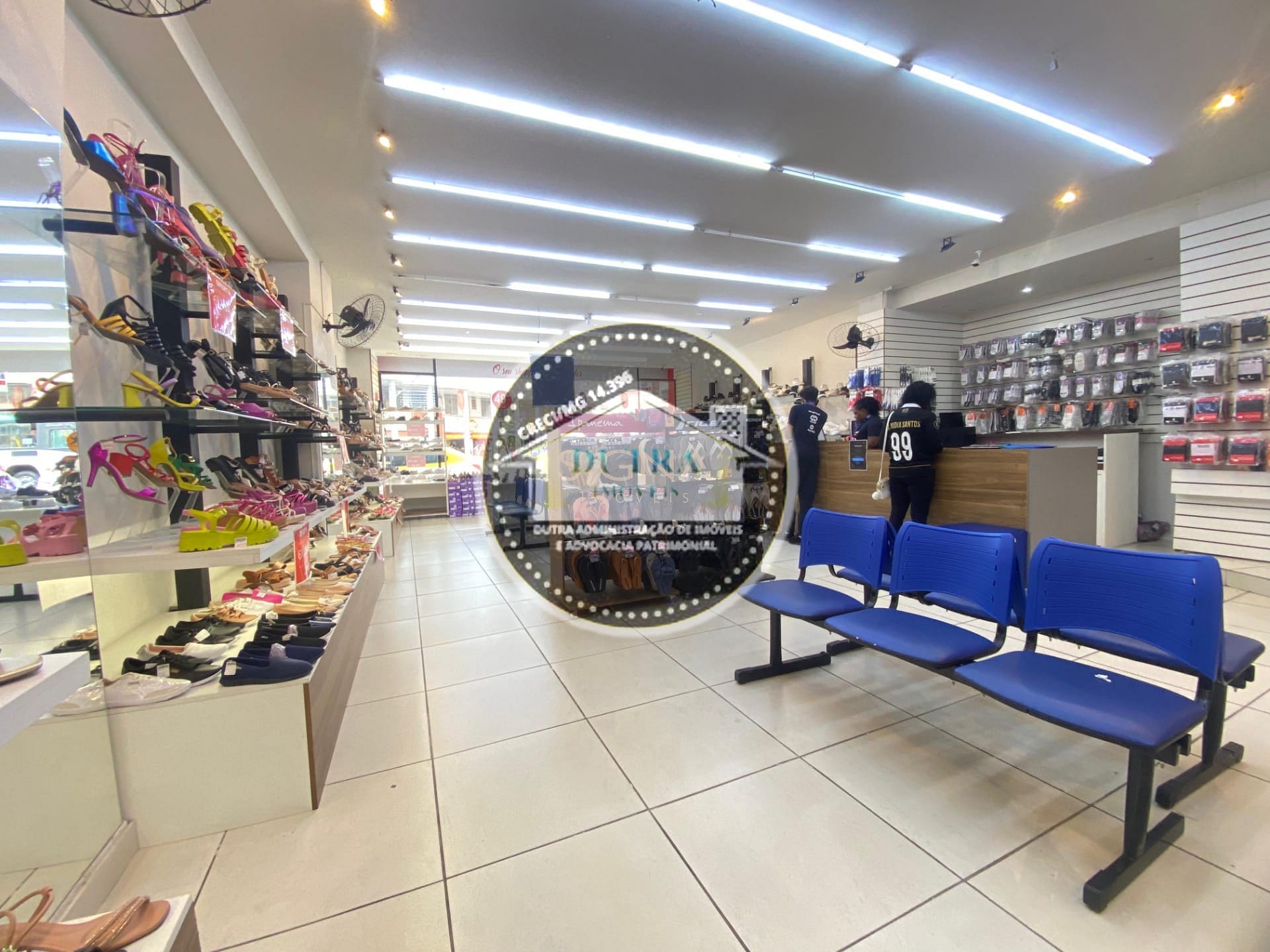 Loja-Salão, 348 m² - Foto 4