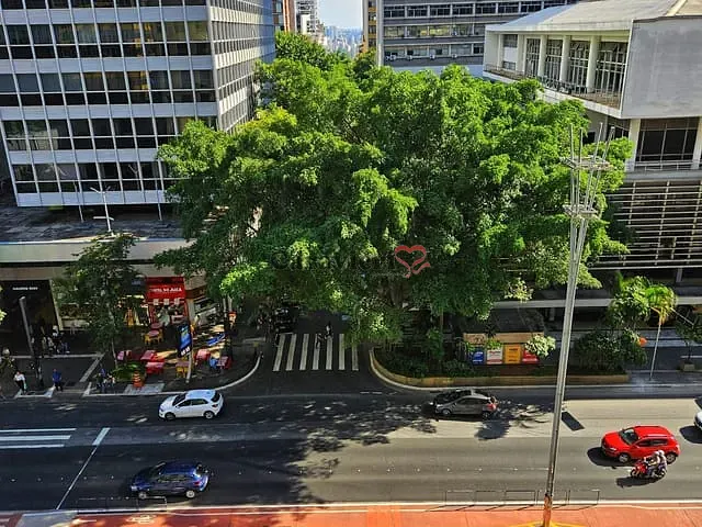 Conjunto comercial à venda, no bairro Bela Vista em São Paulo
