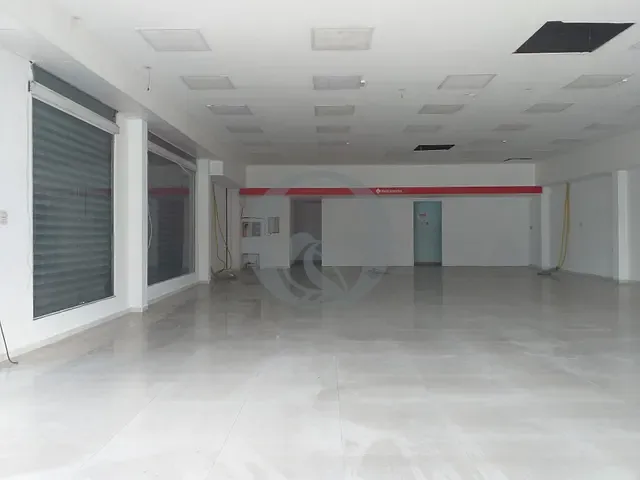 Loja para alugar, no bairro Vila Antonieta em São Paulo