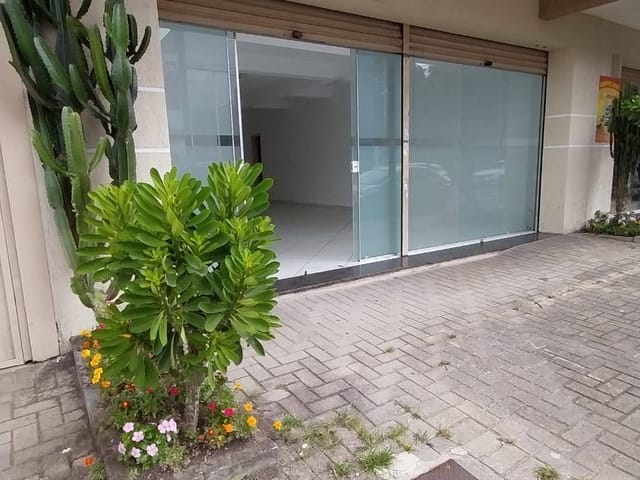 Loja para alugar, no bairro Centro em São José dos Pinhais