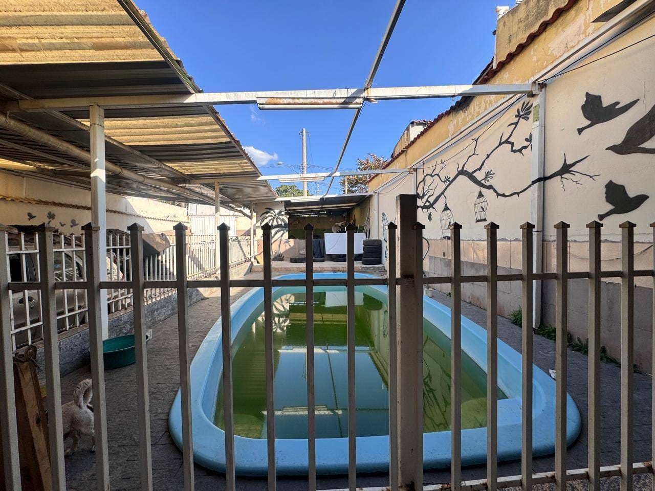 Loja-Salão, 480 m² - Foto 4