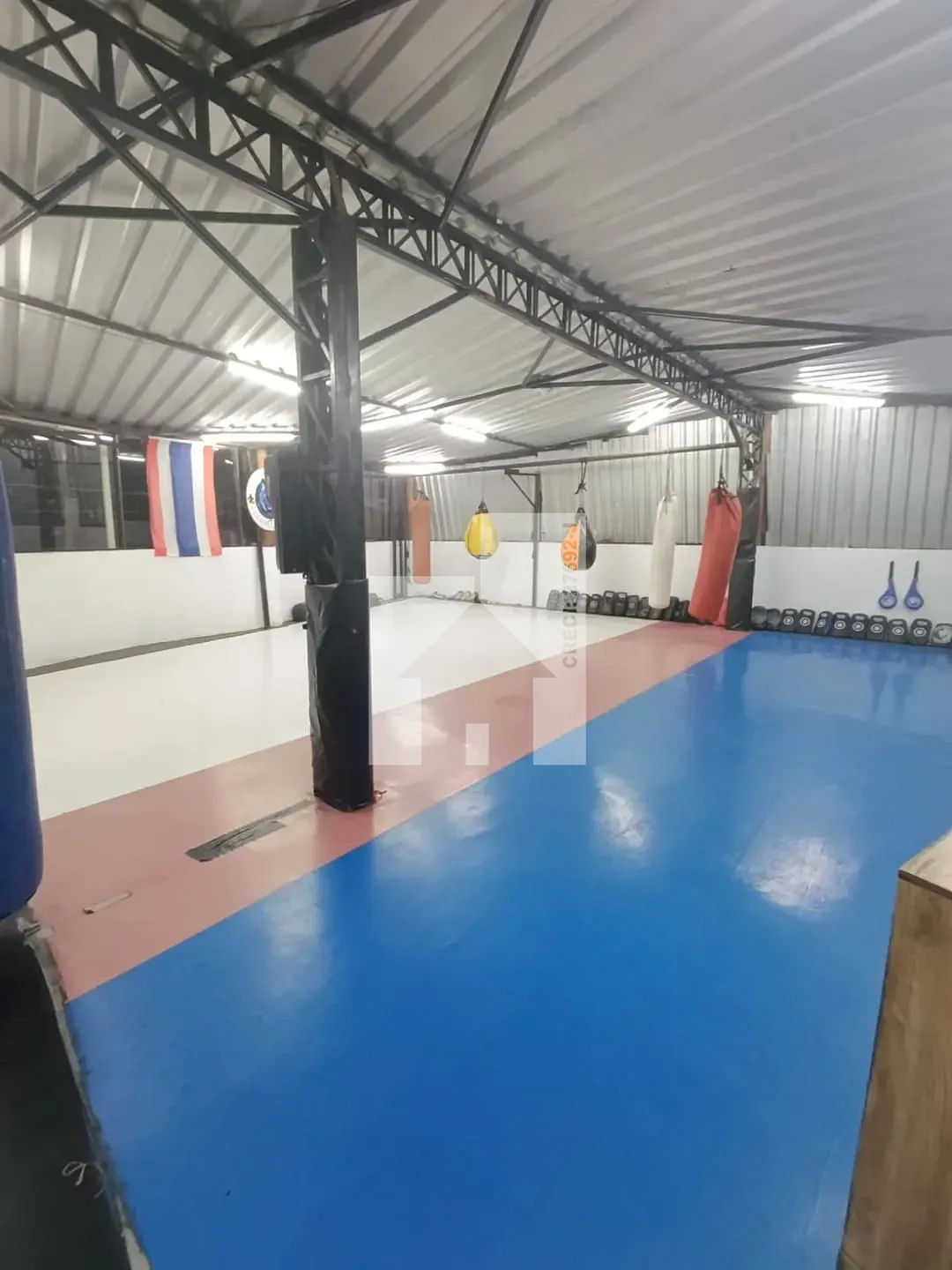 Foto 11