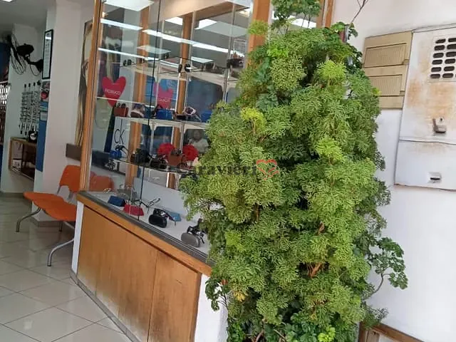 Loja à venda, no bairro Vila São Geraldo em São Paulo