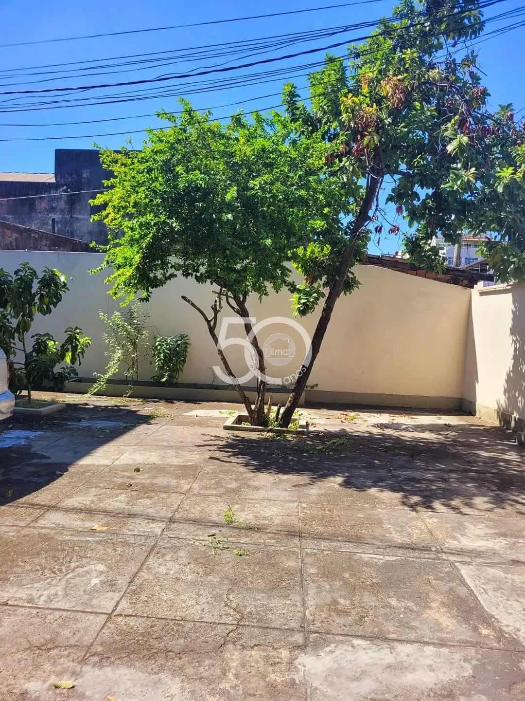 Loja-Salão, 230 m² - Foto 4