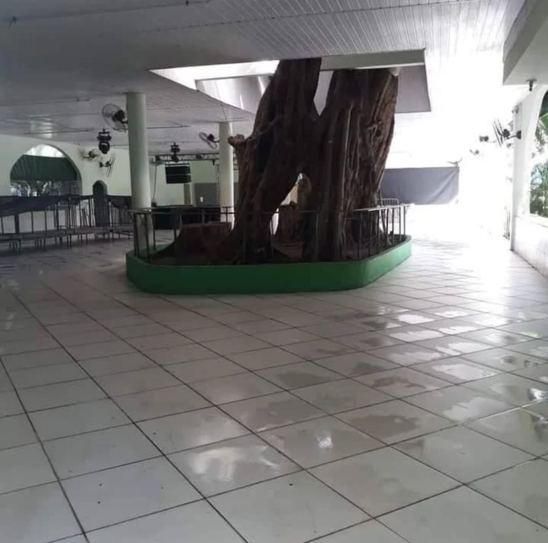 Loja-Salão, 450 m² - Foto 2