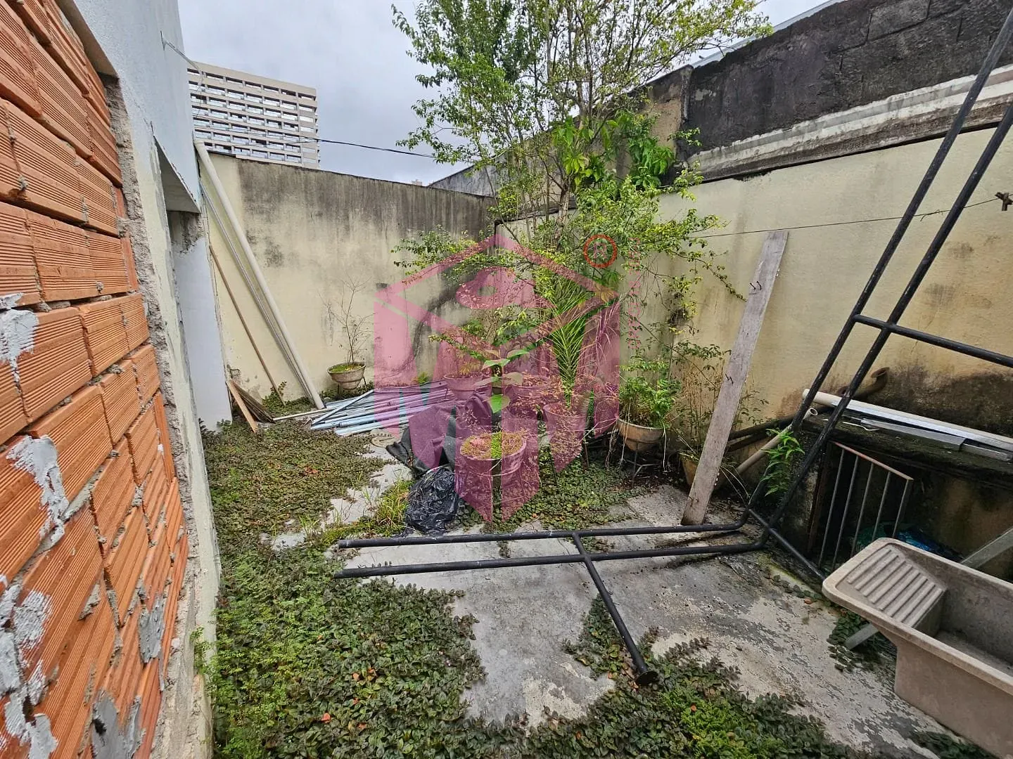 Loja-Salão, 235 m² - Foto 13