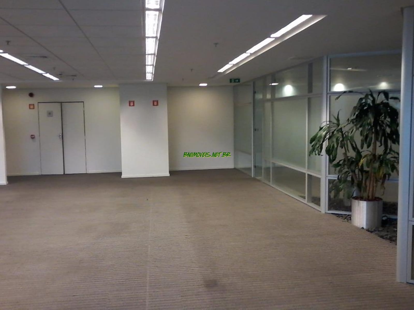 Loja-Salão, 775 m² - Foto 1