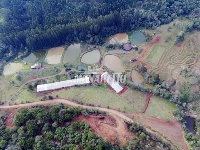 Ponto com 110600m² 3 quartos e 3 banheiros, à venda, no bairro Interior em Concórdia