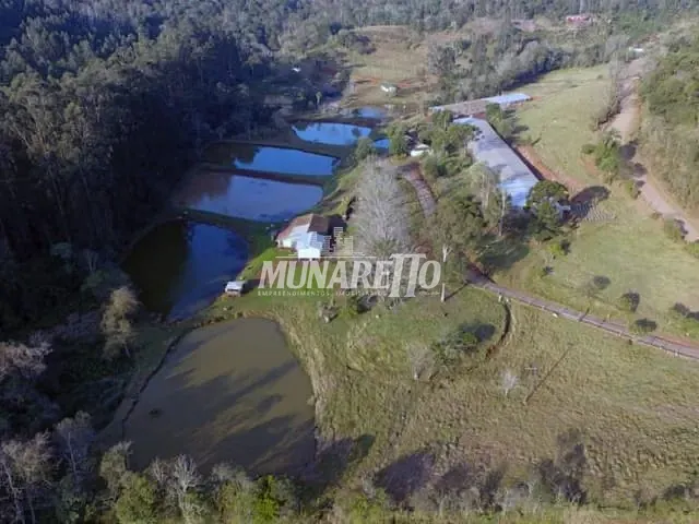 Ponto com 110600m² 3 quartos e 3 banheiros, à venda, no bairro Interior em Concórdia