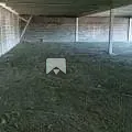 Loja-Salão, 600 m² - Foto 5