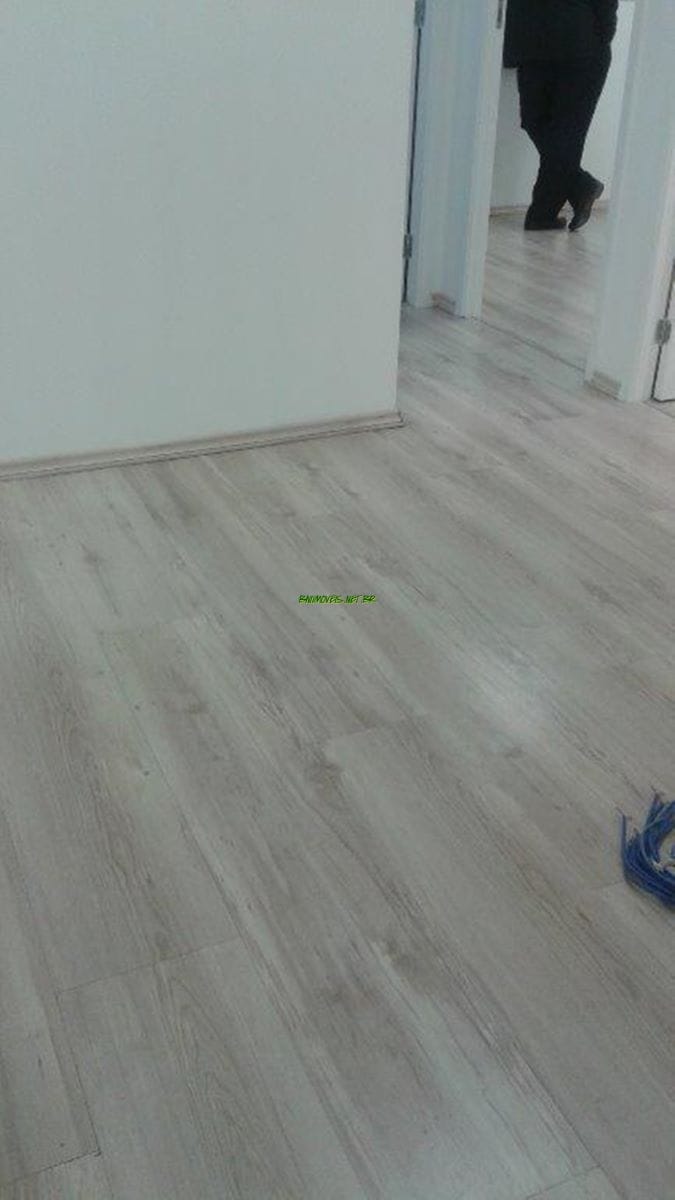 Loja-Salão à venda e aluguel, 5676m² - Foto 5