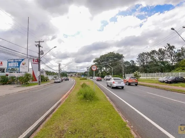 Loja para alugar, no bairro Campina do Siqueira em Curitiba