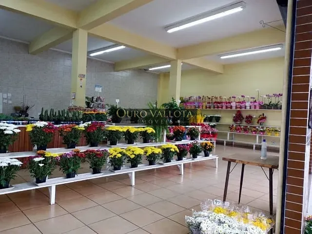 Loja com 260m², à venda, no bairro Jardim Avelino em São Paulo