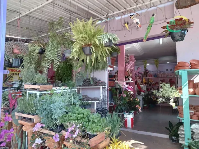 Loja com 60m², à venda, no bairro Jardim Everest em Hortolândia