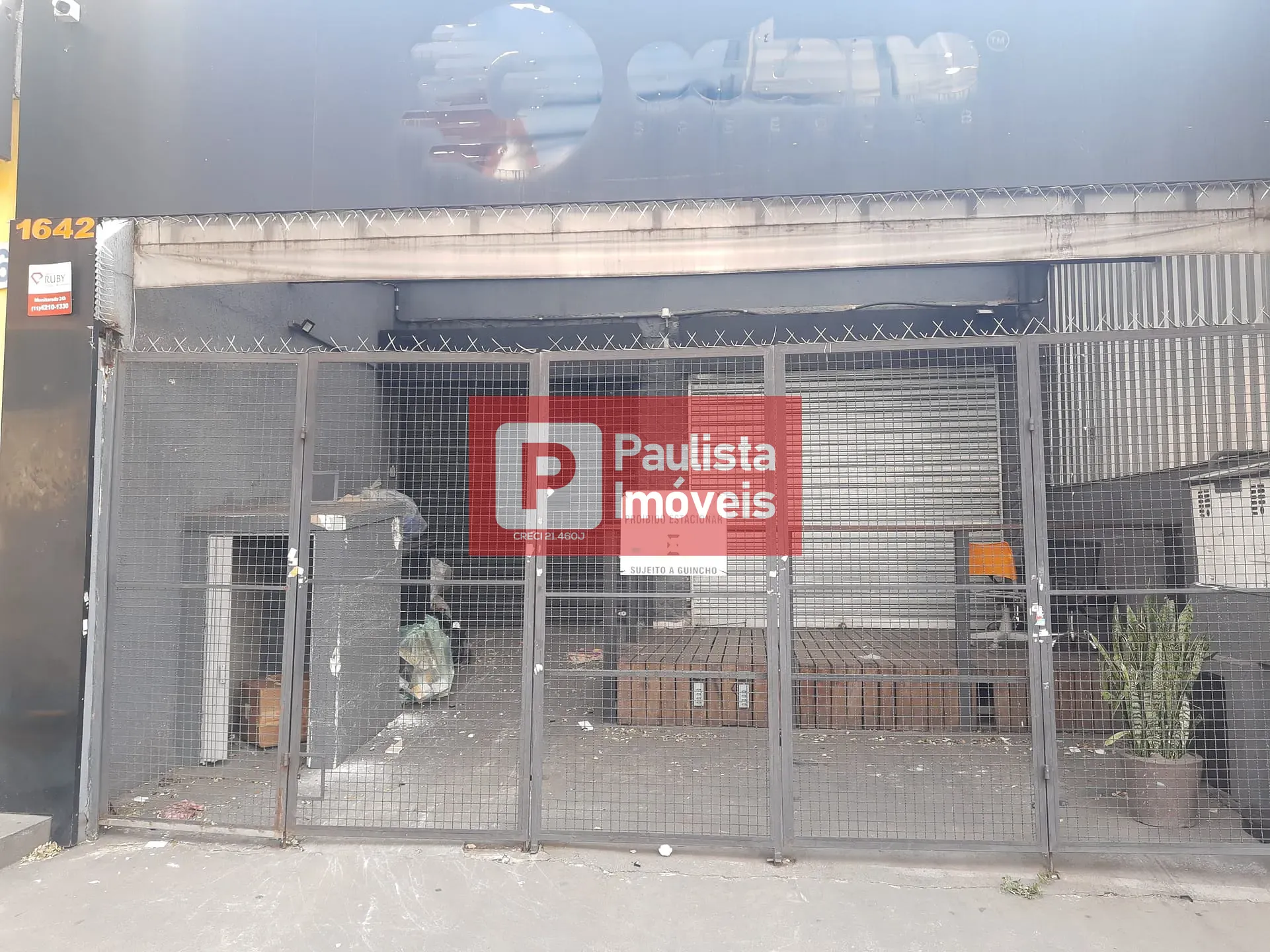 Foto 6