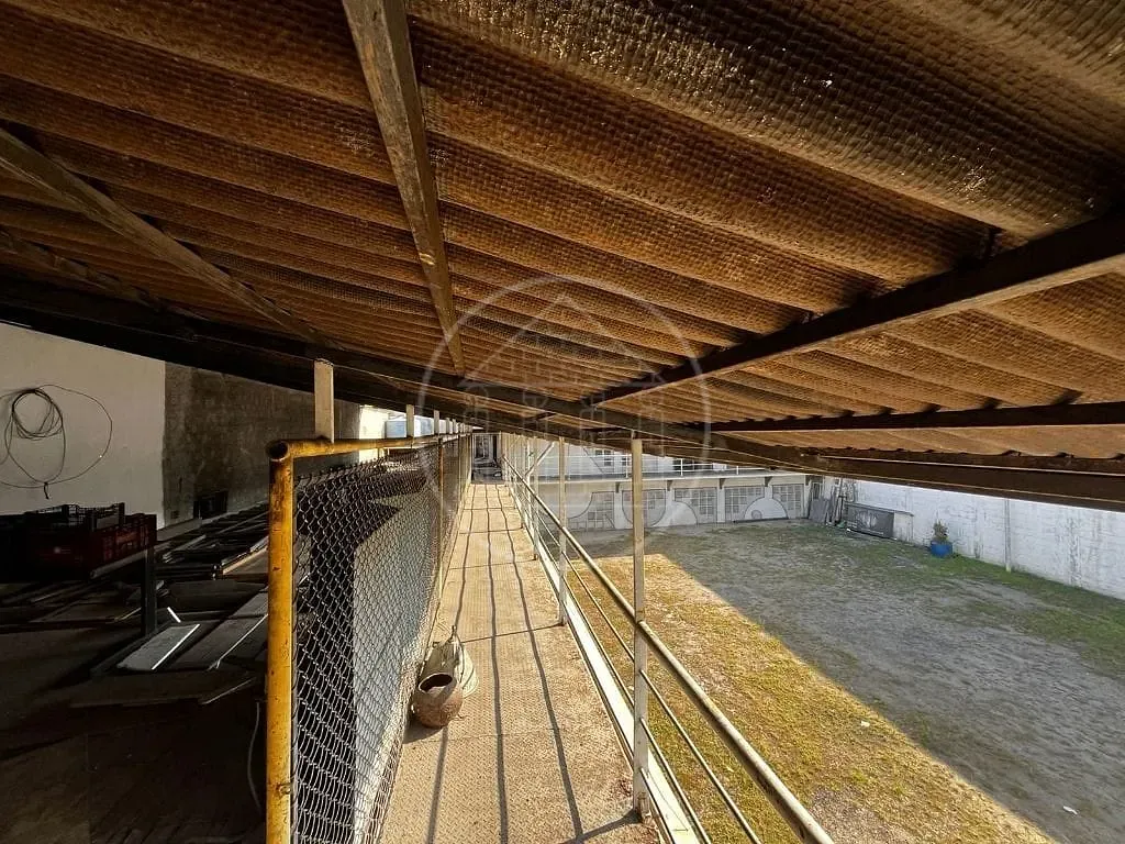Loja-Salão, 1600 m² - Foto 10