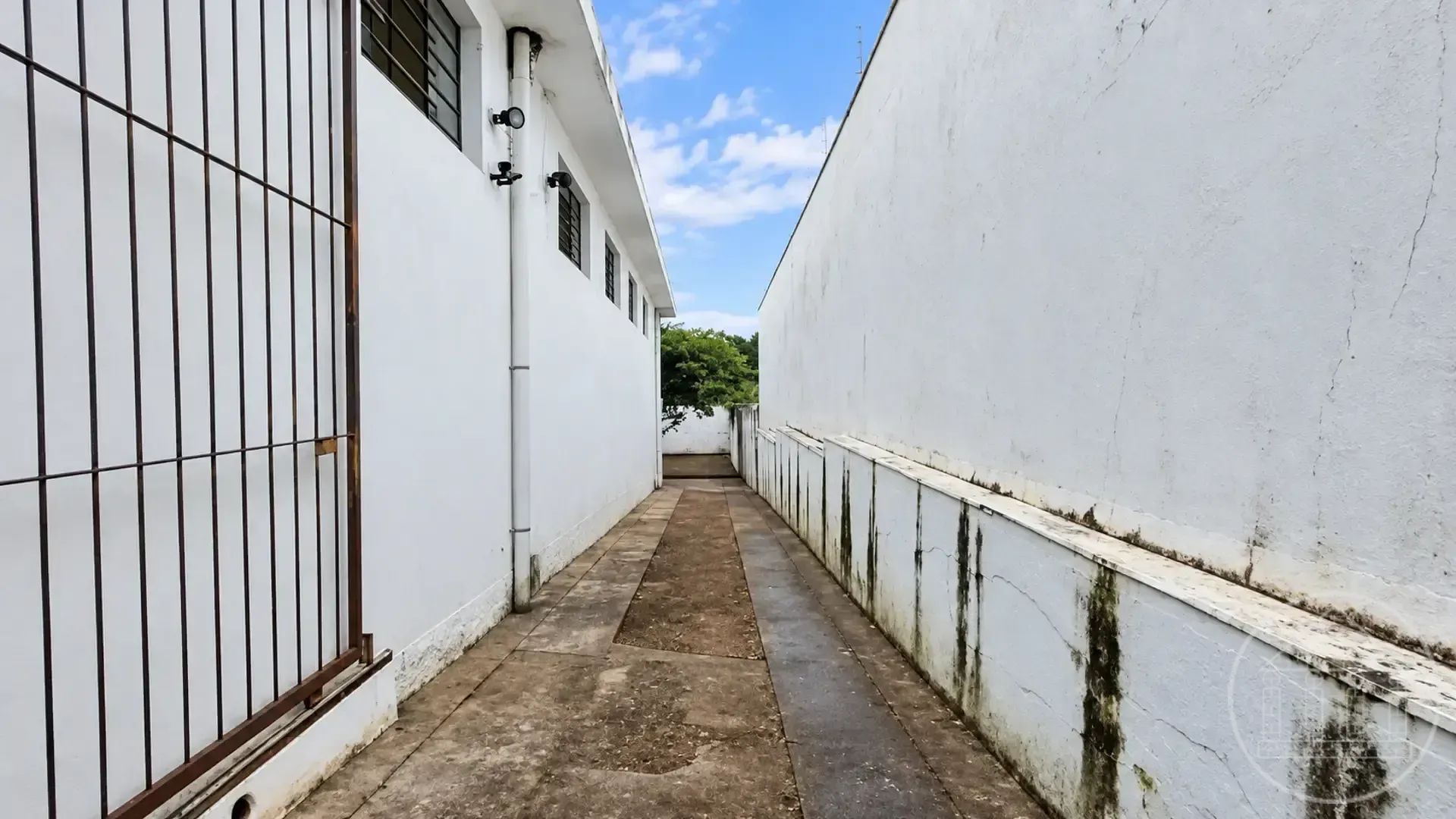 Loja-Salão, 300 m² - Foto 4