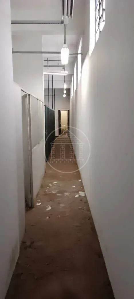 Loja-Salão, 300 m² - Foto 4