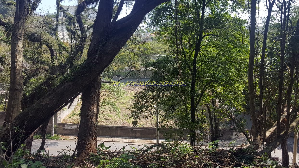 Depósito-Galpão-Armazém à venda, 1000m² - Foto 4