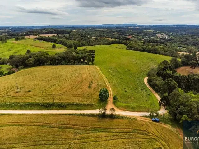 Terreno com 1000m², à venda, no bairro Ferraria em Campo Largo