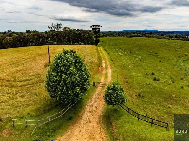 Terreno com 1000m², à venda, no bairro Ferraria em Campo Largo
