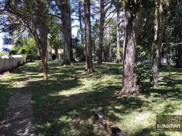 Terreno com 3689m², à venda, no bairro Dom Rodrigo em São José Dos Pinhais