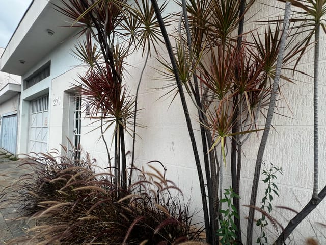 Foto do Outro - Casa de vila para venda em Cidade Nova com 4 quartos, sendo 4 suítes, 475m² | Lares e Andares Imóveis