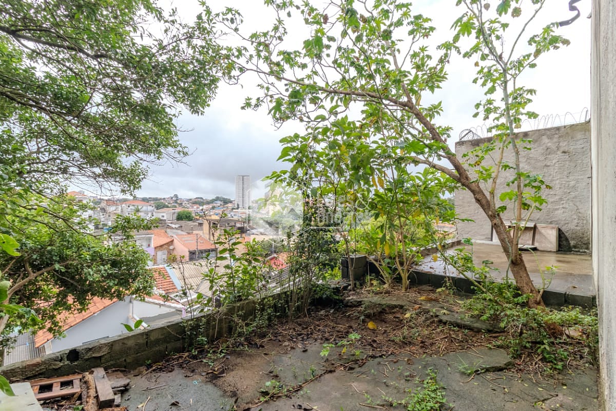 Casa, 8 quartos, 300 m² - Foto 22