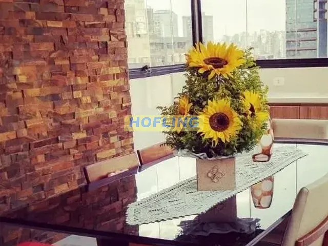 Cobertura / Penthouse 3 quartos e 2 banheiros, à venda, no bairro Vila Mariana em São Paulo