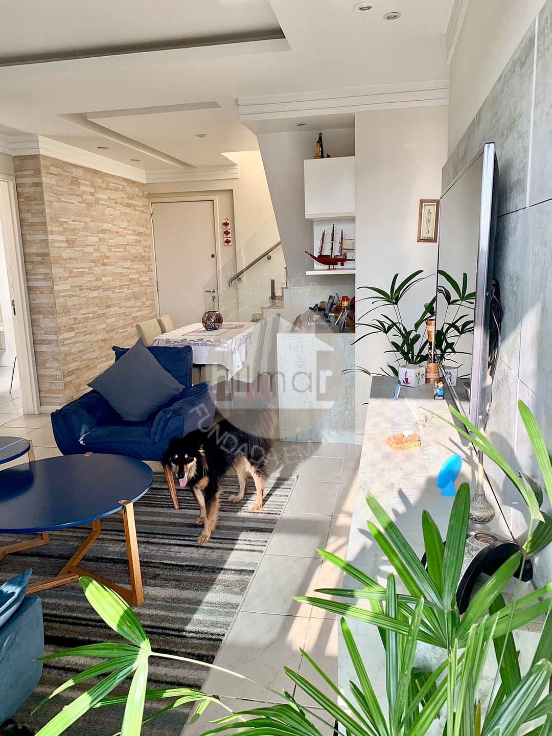 Cobertura, 3 quartos, 187 m² - Foto 3