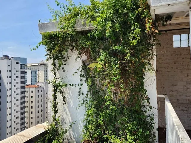 Cobertura / Penthouse com 413m² 4 quartos e 4 banheiros, para alugar, no bairro Higienópolis em São Paulo