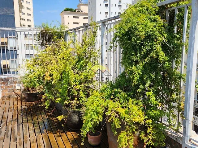 Cobertura / Penthouse com 413m² 4 quartos e 4 banheiros, para alugar, no bairro Higienópolis em São Paulo