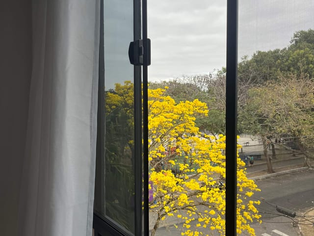 Cobertura / Penthouse 3 quartos e 2 banheiros, à venda ou para alugar, no bairro Parque Turf Club em Campos dos Goytacazes