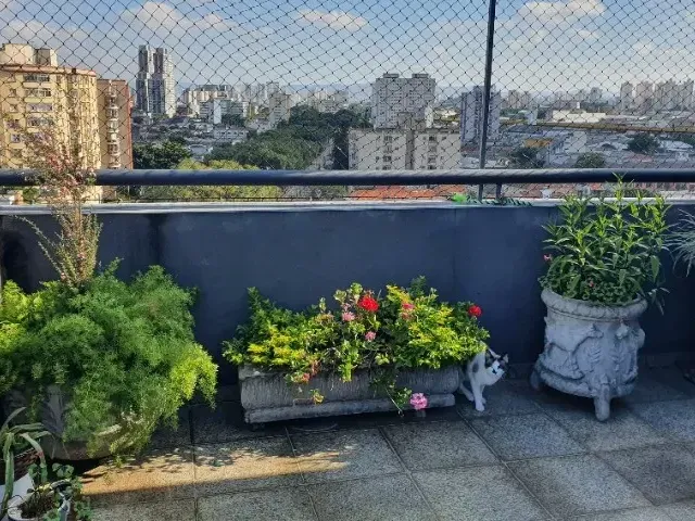 Cobertura / Penthouse com 210m² 3 quartos e 2 banheiros, à venda, no bairro Vila Monumento em São Paulo