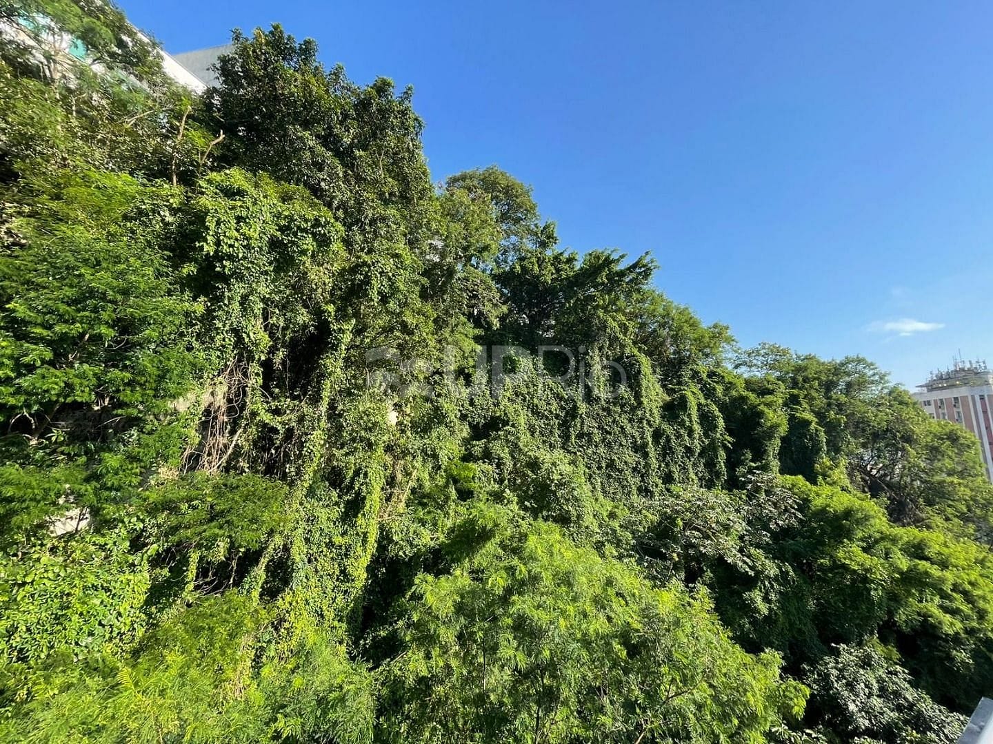 Cobertura, 4 quartos, 219 m² - Foto 36