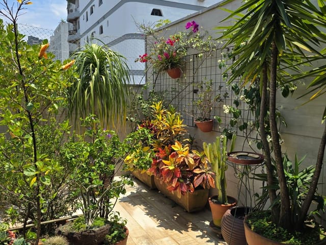 Cobertura / Penthouse com 144m² 2 quartos e 3 banheiros, à venda, no bairro Aclimação em São Paulo