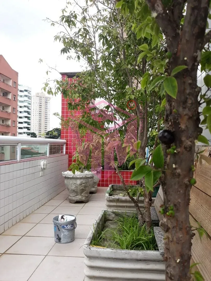 Cobertura, 4 quartos, 218 m² - Foto 40