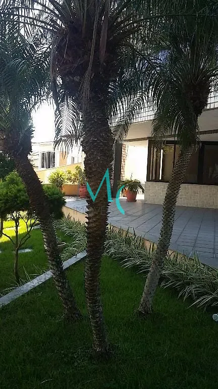 Cobertura, 4 quartos, 291 m² - Foto 3